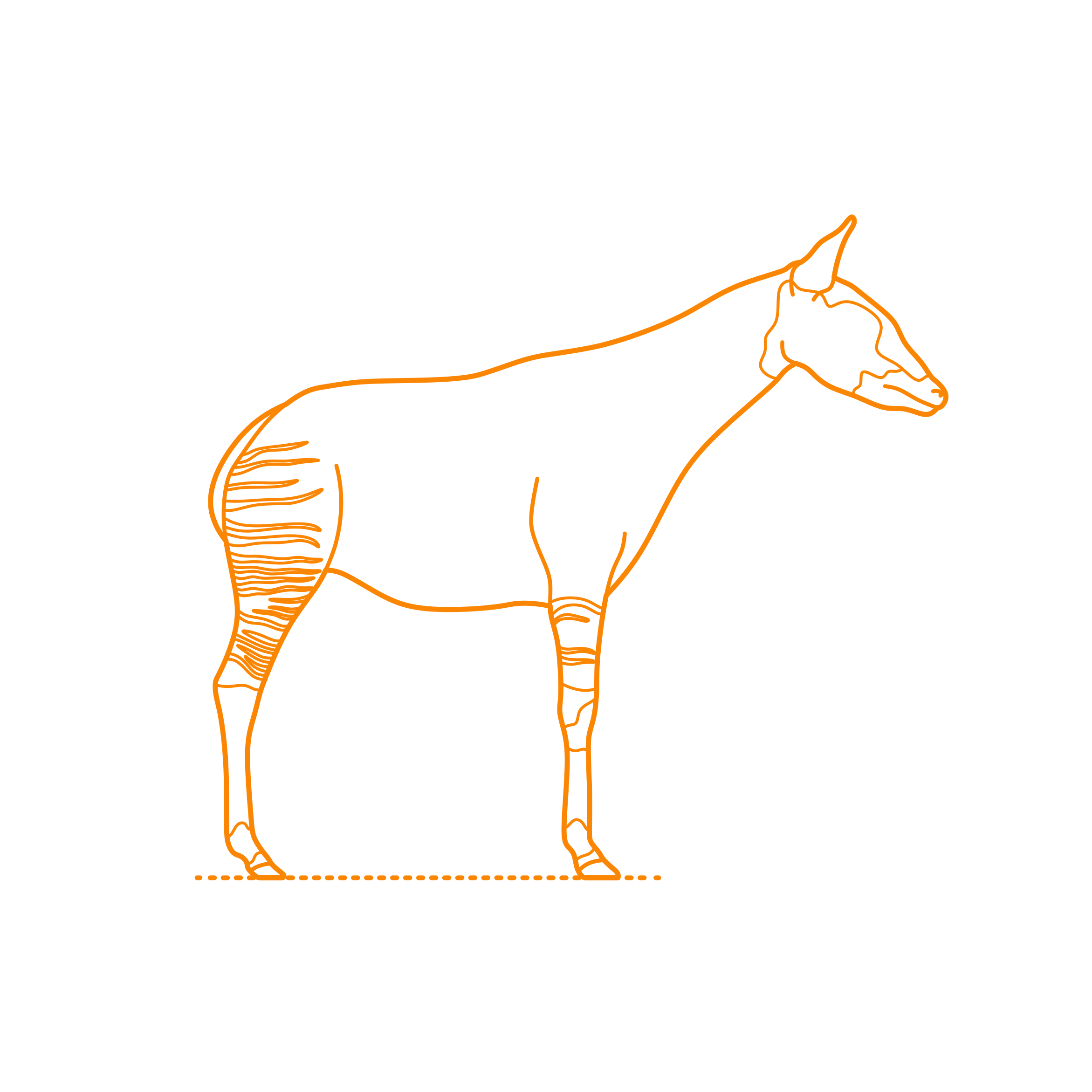 Animals Giraffoids Okapi Outline Svg File Free Vectors